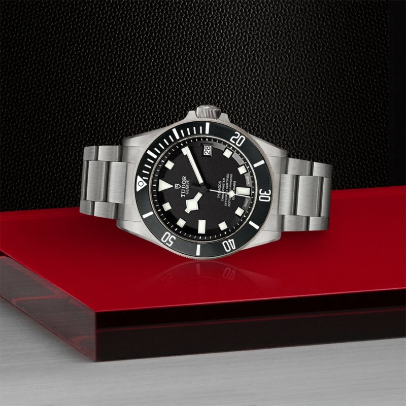 TUDOR Pelagos LHD Titanium Steel 42MM (M25600TN-0001)