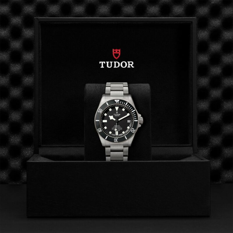 TUDOR Pelagos LHD Titanium Steel 42MM (M25600TN-0001)