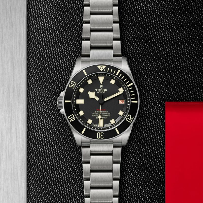 TUDOR Pelagos Titanium Steel (M25610TNL-0001)