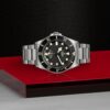 TUDOR Pelagos Titanium Steel (M25610TNL-0001) - Image 4