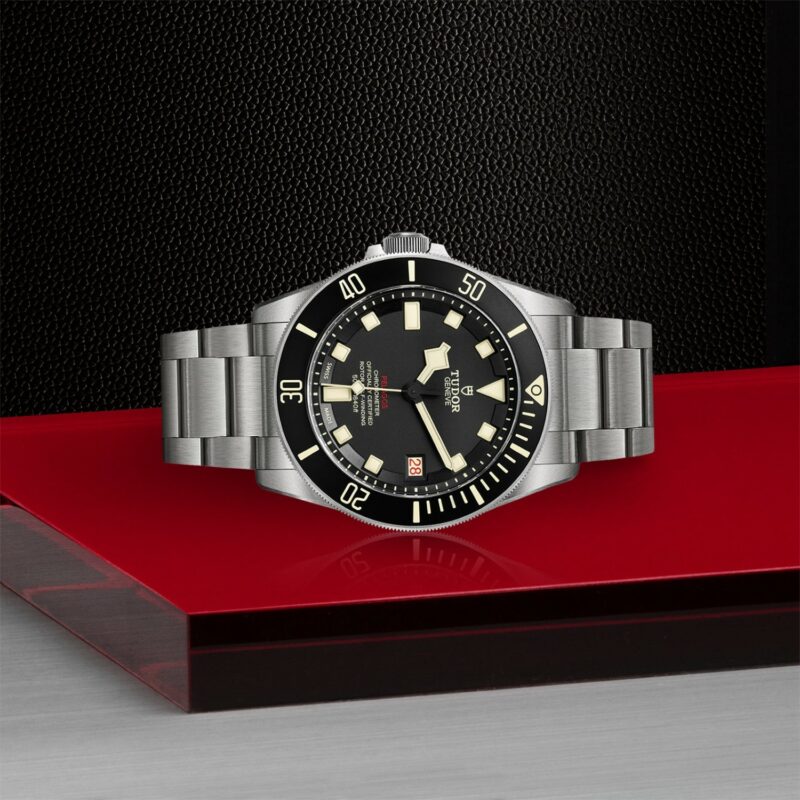 TUDOR Pelagos Titanium Steel (M25610TNL-0001)