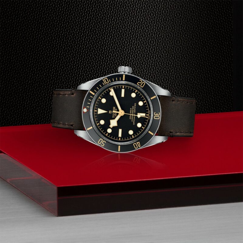 TUDOR Black Bay Fifty-Eight Steel 39MM (M79030N-0002)