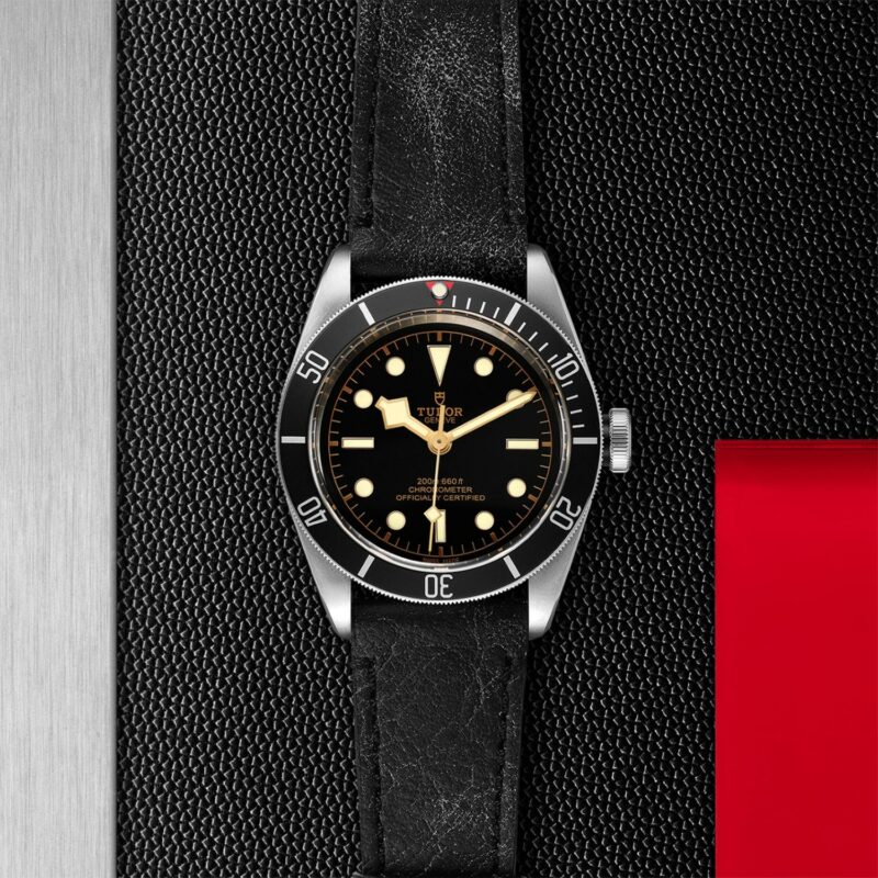 TUDOR Black Bay Steel 41MM (M79230N-0008)