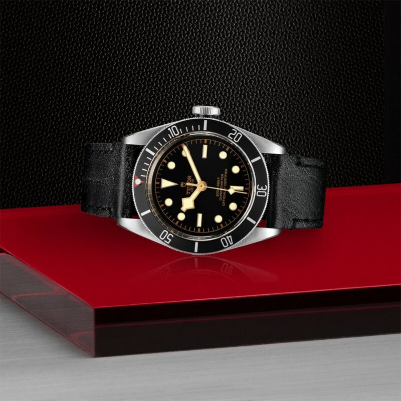 TUDOR Black Bay Steel 41MM (M79230N-0008)