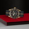 TUDOR Black Bay Bronze Bronze 43MM (M79250BA-0002) - Image 4