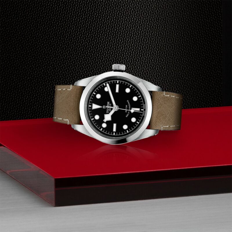 TUDOR Black Bay 36 Steel (M79500-0008)