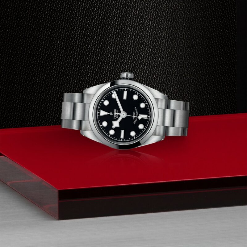 TUDOR Black Bay 32 Steel (M79580-0001)