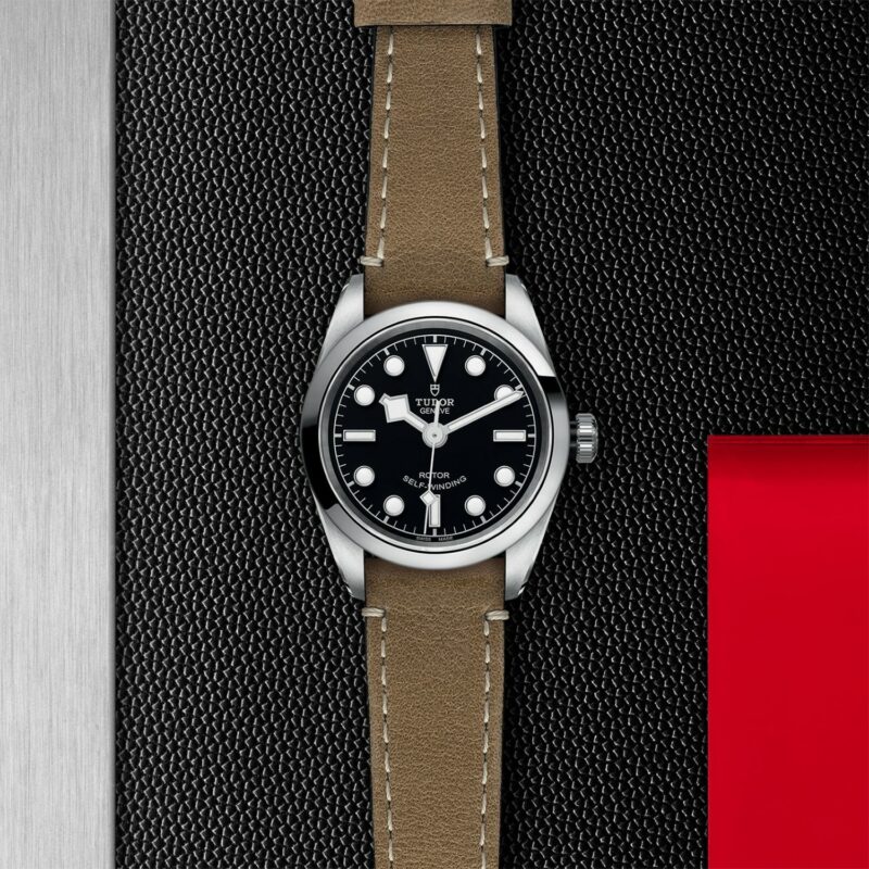 TUDOR Black Bay 32 Steel (M79580-0002)