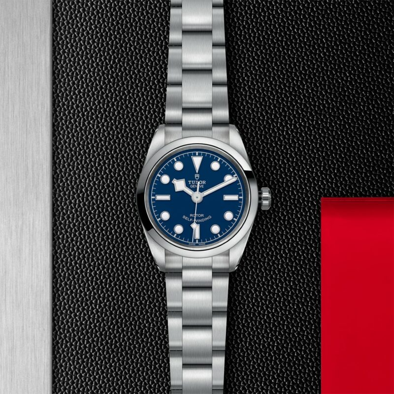 TUDOR Black Bay 32 Steel (M79580-0003)