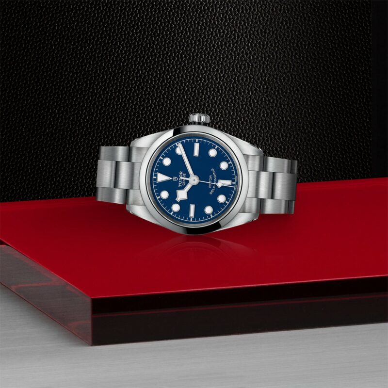 TUDOR Black Bay 32 Steel (M79580-0003)