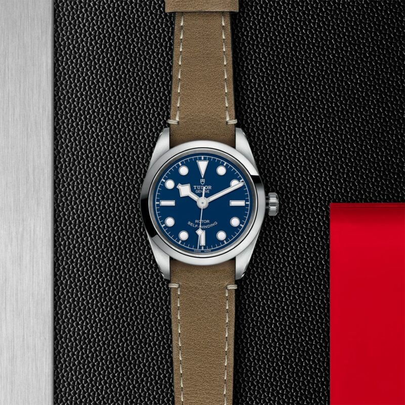 TUDOR Black Bay 32 Steel (M79580-0004)