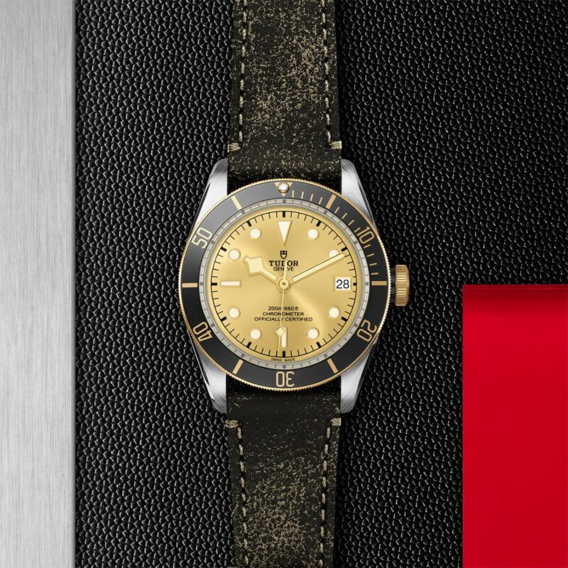 TUDOR Black Bay Steel & Gold 41MM (M79733N-0003)