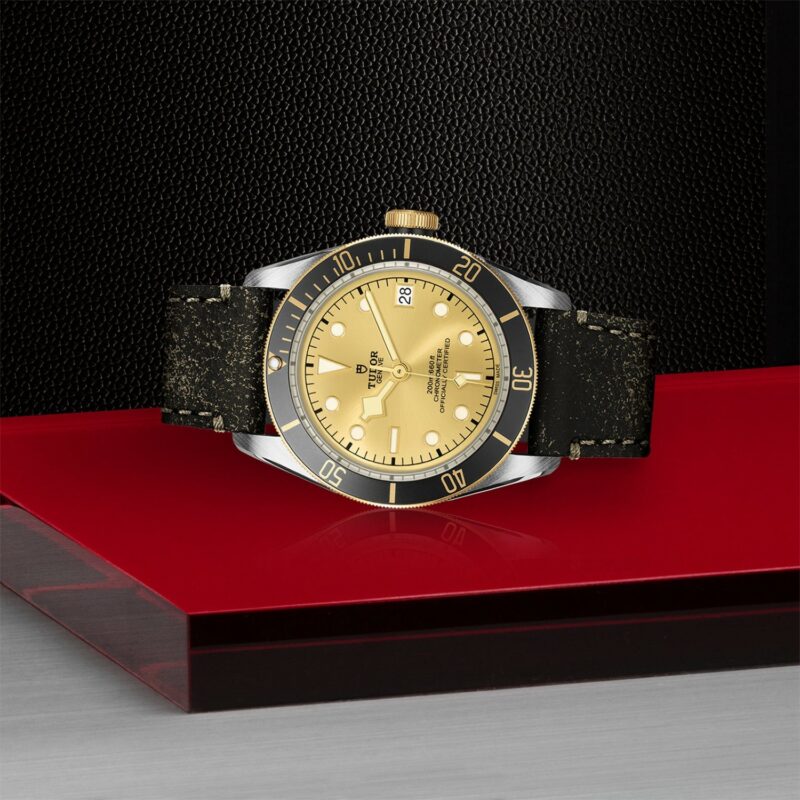 TUDOR Black Bay Steel & Gold 41MM (M79733N-0003)