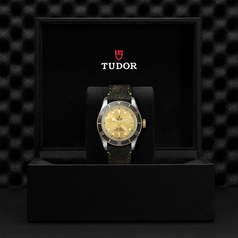 TUDOR Black Bay Steel & Gold 41MM (M79733N-0003)