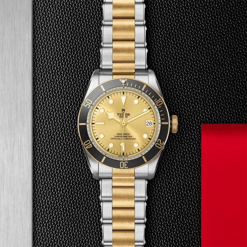 TUDOR Black Bay Steel & Gold 41MM (M79733N-0004)