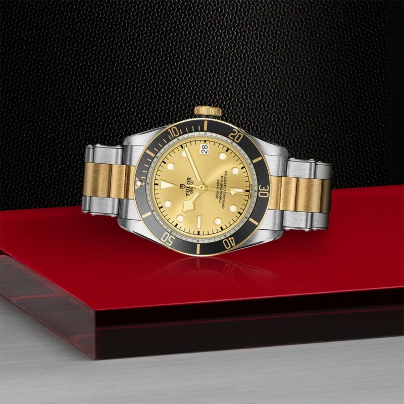 TUDOR Black Bay Steel & Gold 41MM (M79733N-0004)