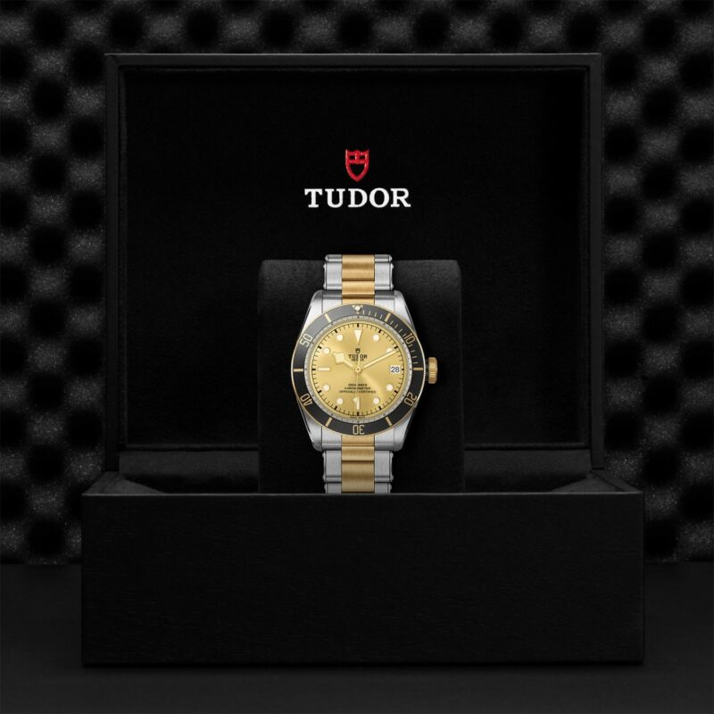 TUDOR Black Bay Steel & Gold 41MM (M79733N-0004)