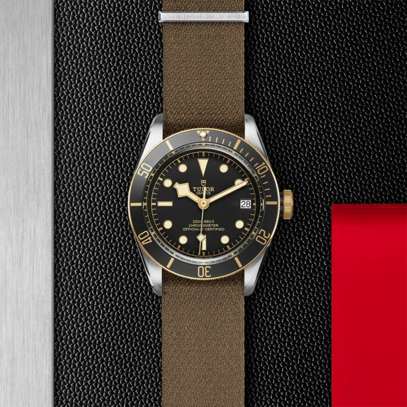 TUDOR Black Bay Steel & Gold 41MM (M79733N-0005)