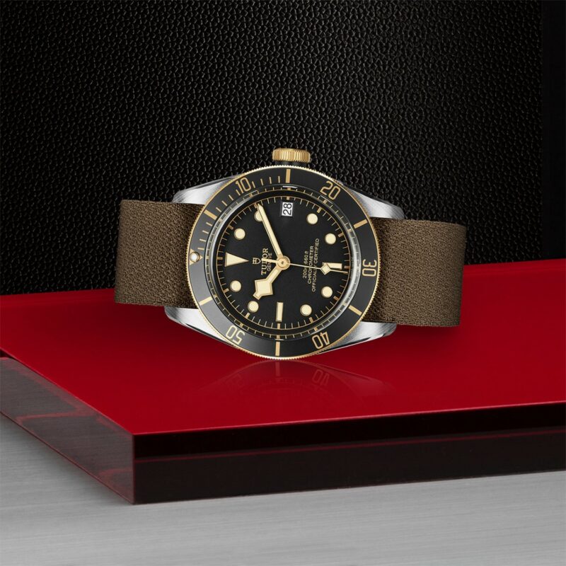 TUDOR Black Bay Steel & Gold 41MM (M79733N-0005)