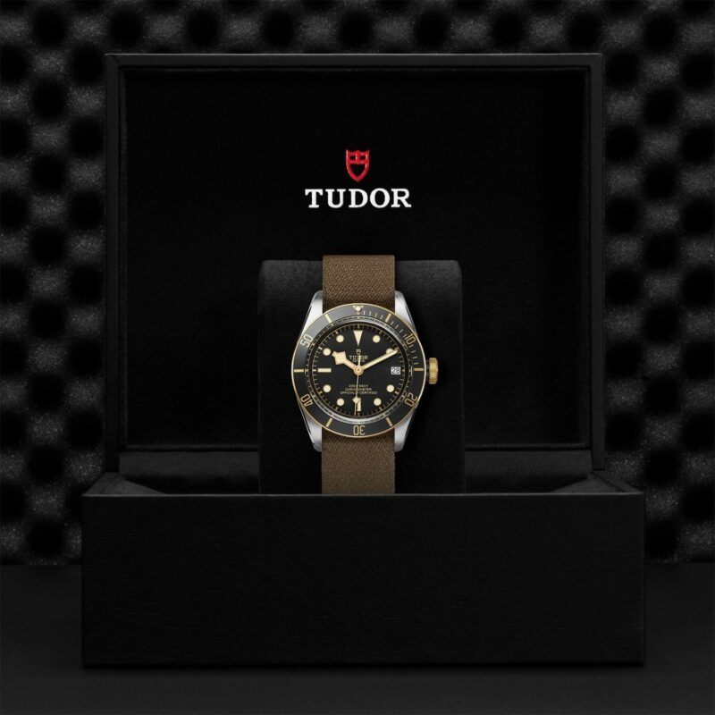 TUDOR Black Bay Steel & Gold 41MM (M79733N-0005)