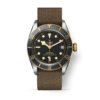 TUDOR Black Bay Steel & Gold 41MM (M79733N-0005)