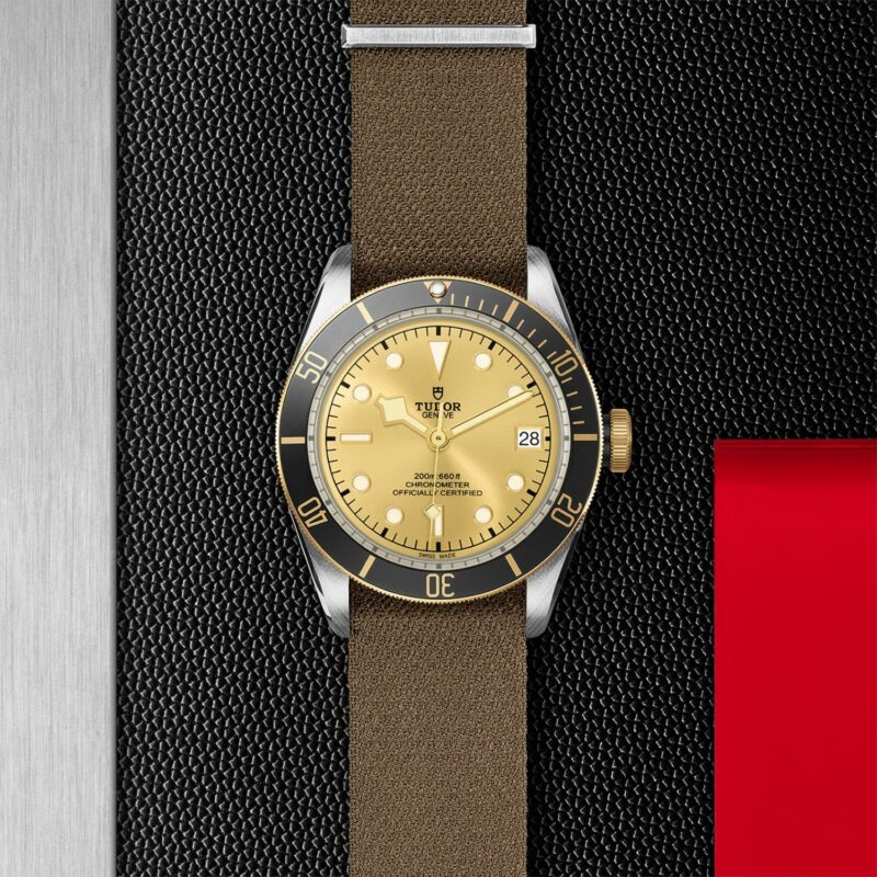 TUDOR Black Bay Steel & Gold 41MM (M79733N-0006)