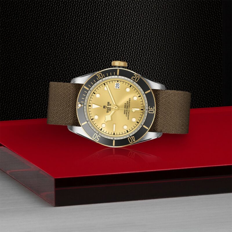 TUDOR Black Bay Steel & Gold 41MM (M79733N-0006)