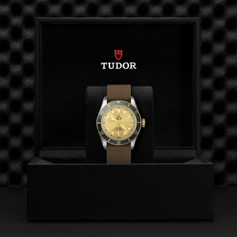 TUDOR Black Bay Steel & Gold 41MM (M79733N-0006)