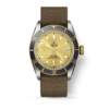TUDOR Black Bay Steel & Gold 41MM (M79733N-0006)