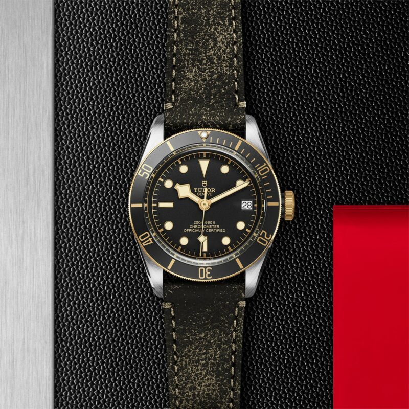 TUDOR Black Bay Steel & Gold 41MM (M79733N-0007)