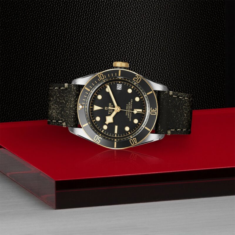 TUDOR Black Bay Steel & Gold 41MM (M79733N-0007)