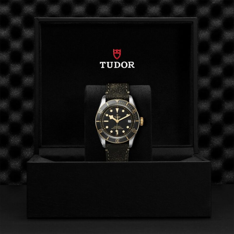 TUDOR Black Bay Steel & Gold 41MM (M79733N-0007)