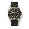 TUDOR Black Bay Steel & Gold 41MM (M79733N-0007)