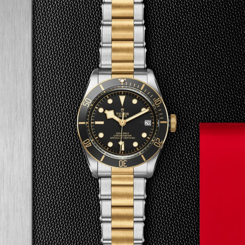 TUDOR Black Bay Steel & Gold 41MM (M79733N-0008)