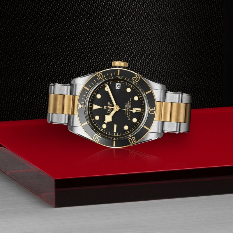 TUDOR Black Bay Steel & Gold 41MM (M79733N-0008)