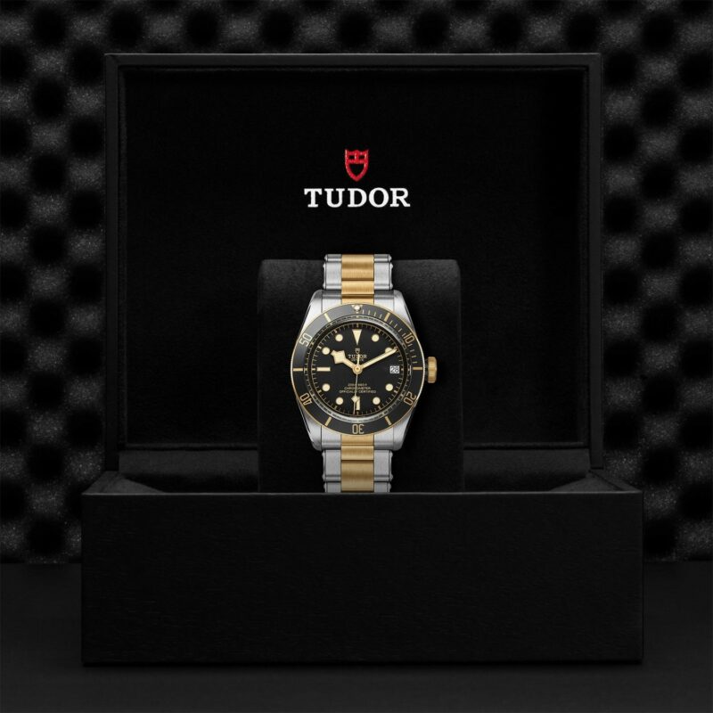 TUDOR Black Bay Steel & Gold 41MM (M79733N-0008)