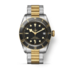 TUDOR Black Bay Steel & Gold 41MM (M79733N-0008)