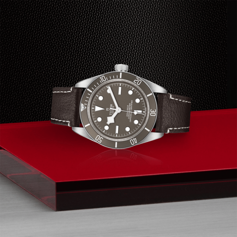 TUDOR Black Bay Fifty-Eight 925 Silver 39mm (M79010SG-0001)