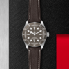 TUDOR Black Bay Fifty-Eight 925 Silver 39mm (M79010SG-0001) - Image 3