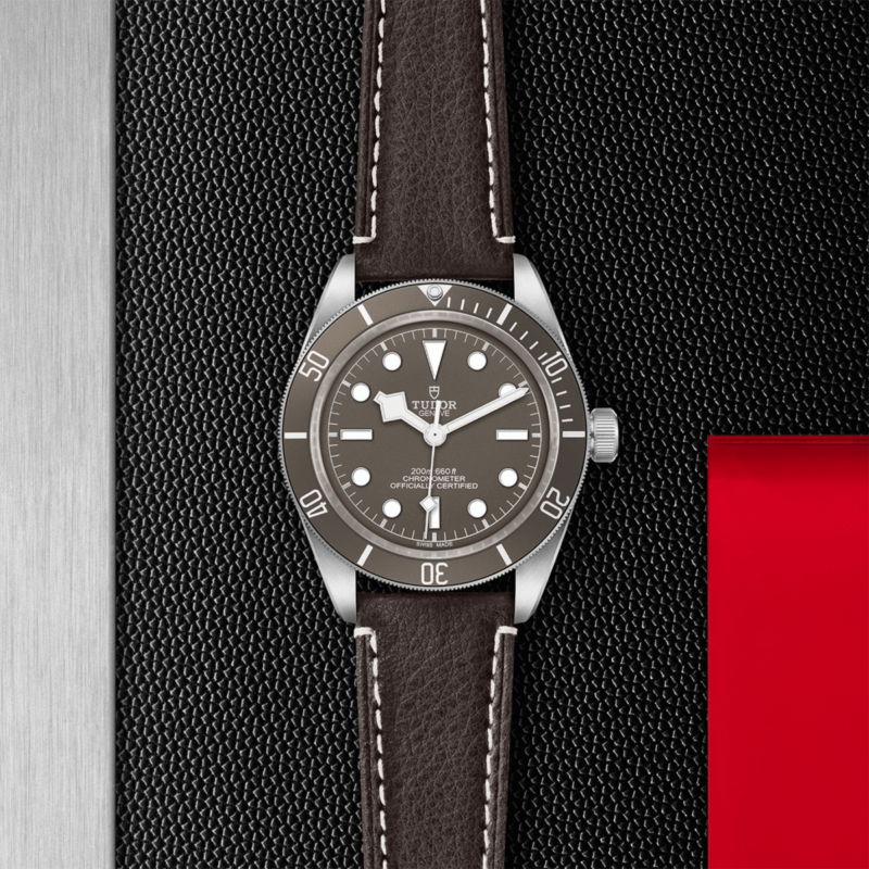 TUDOR Black Bay Fifty-Eight 925 Silver 39mm (M79010SG-0001)