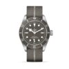 TUDOR Black Bay Fifty-Eight 925 Silver 39mm (M79010SG-0002)