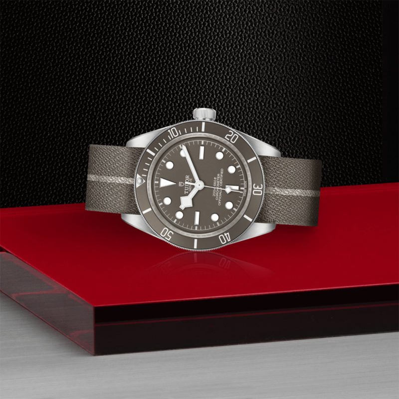 TUDOR Black Bay Fifty-Eight 925 Silver 39mm (M79010SG-0002)