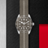 TUDOR Black Bay Fifty-Eight 925 Silver 39mm (M79010SG-0002) - Image 3