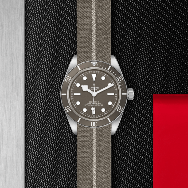 TUDOR Black Bay Fifty-Eight 925 Silver 39mm (M79010SG-0002)