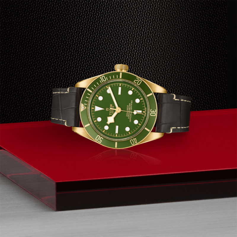 TUDOR Black Bay Fifty-Eight 18K Gold 39mm (M79018V-0001)