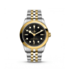 TUDOR Black Bay 39 S&G (M79663-0001)