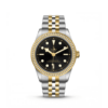 TUDOR Black Bay 39 S&G (M79673-0001)