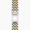 TUDOR Black Bay 39 S&G (M79673-0001) - Image 2
