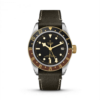 TUDOR Black Bay GMT S&G 41mm (M79833MN-0003)