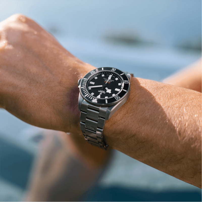 TUDOR Pelagos Titanium 39mm (M25407N-0001)